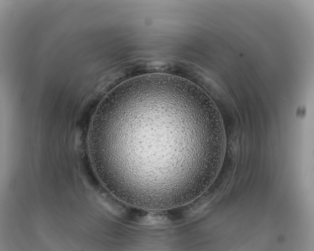 X0000092080270200709191231