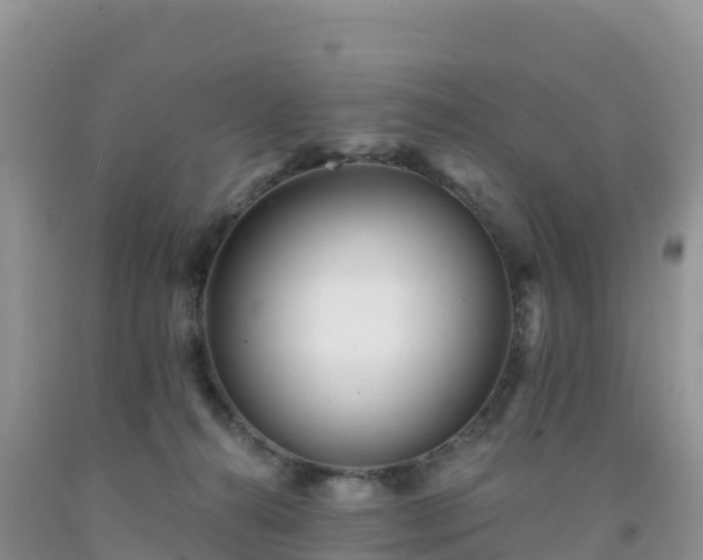 X0000092080272200709191231