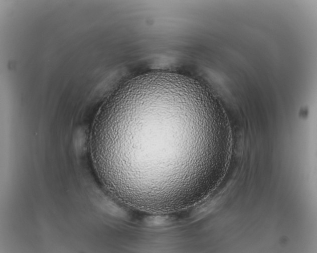 X0000092080273200709191231