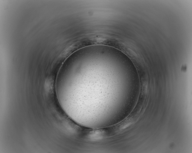 X0000092080274200709191231