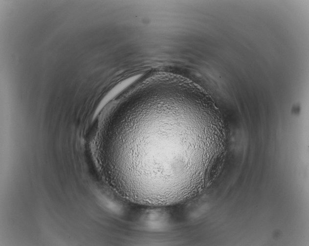 X0000092080275200709191231