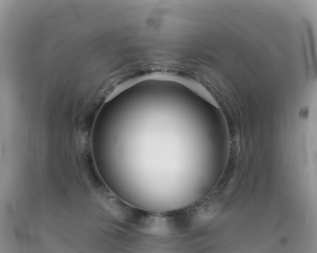 X0000092080276200709191231