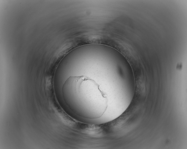 X0000092080278200709191231
