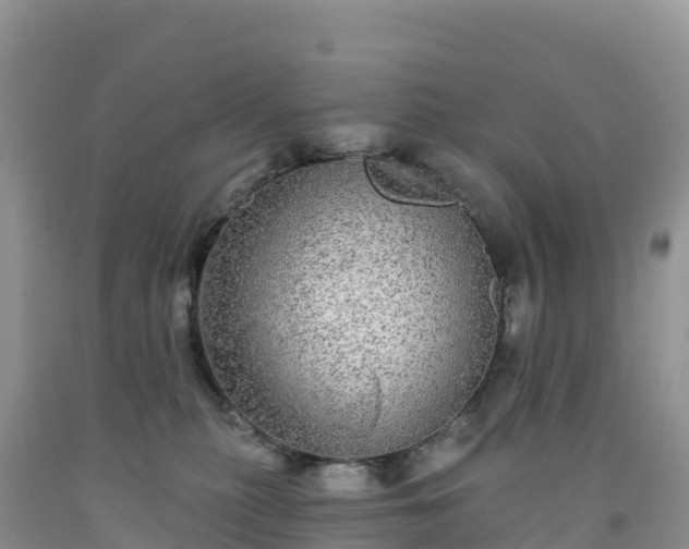 X0000092080279200709191231