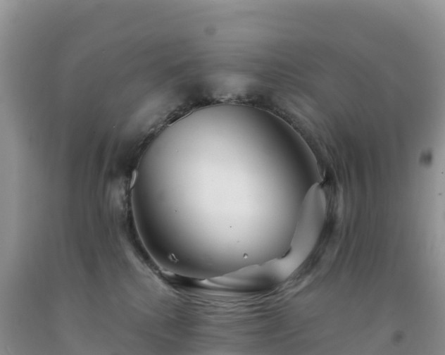 X0000092080280200709191231