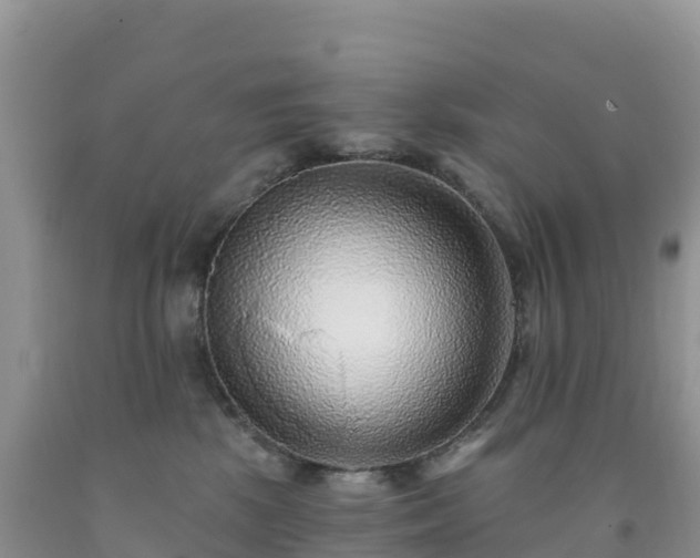 X0000092080281200709191231