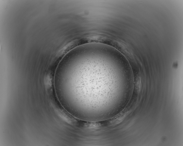 X0000092080282200709191231