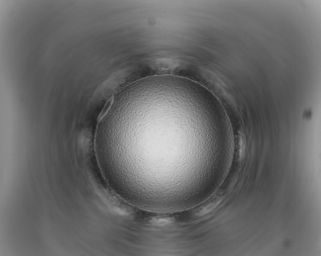 X0000092080283200709191231