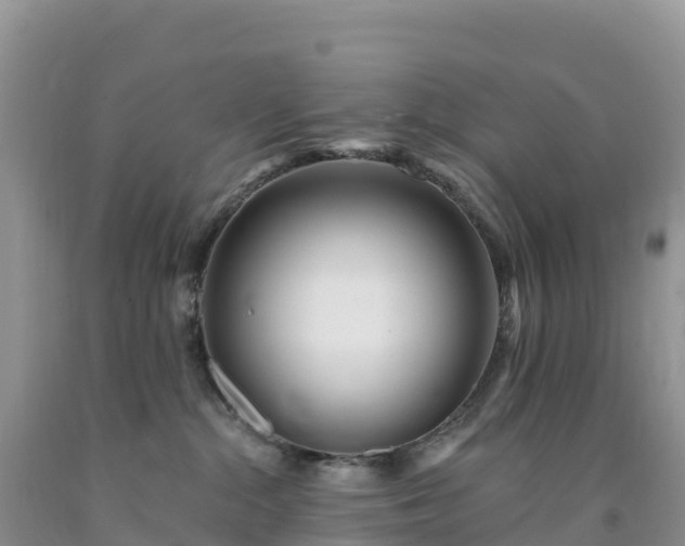 X0000092080284200709191231
