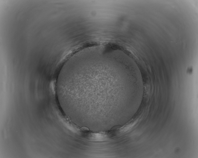 X0000092080286200709191231