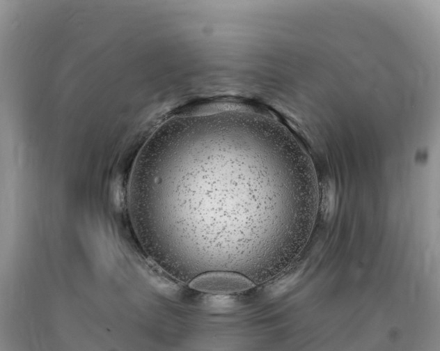 X0000092080287200709191231