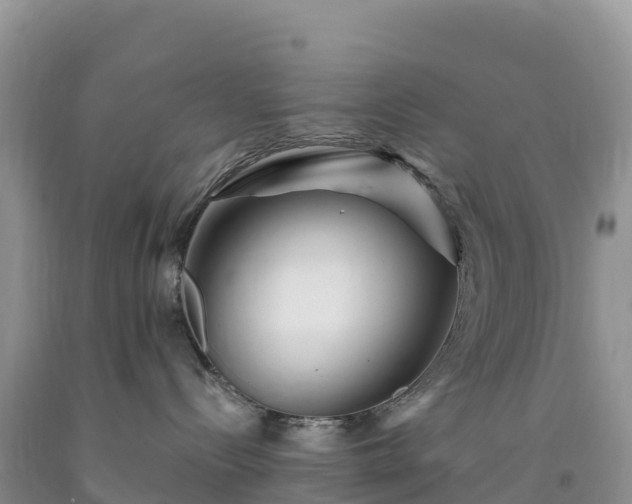 X0000092080288200709191231
