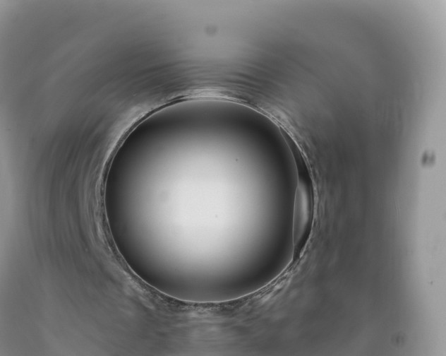 X0000092080289200709191230