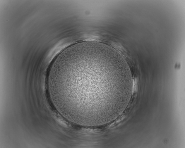 X0000092080291200709191230