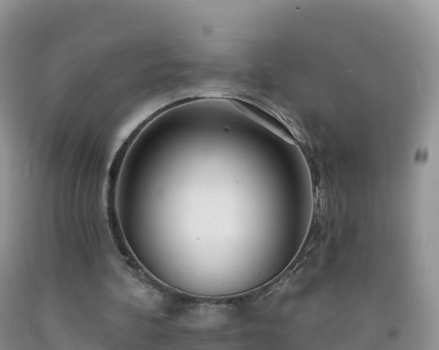 X0000092080292200709191230