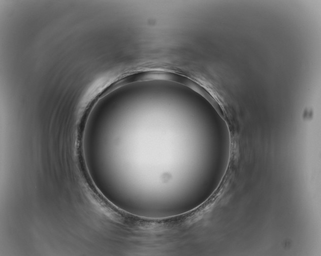 X0000092080293200709191230