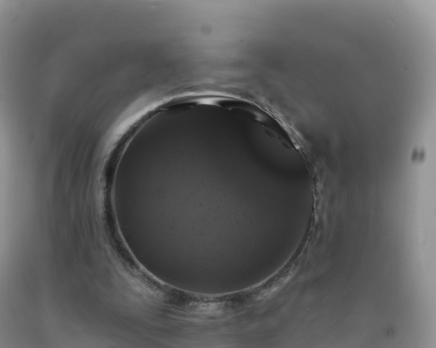 X0000092080295200709191230