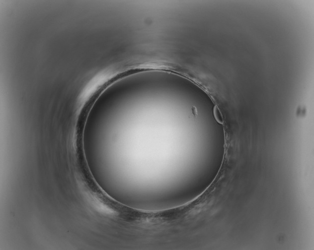 X0000092080296200709191230