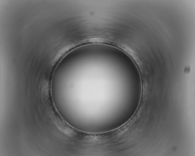 X0000092080297200709191230