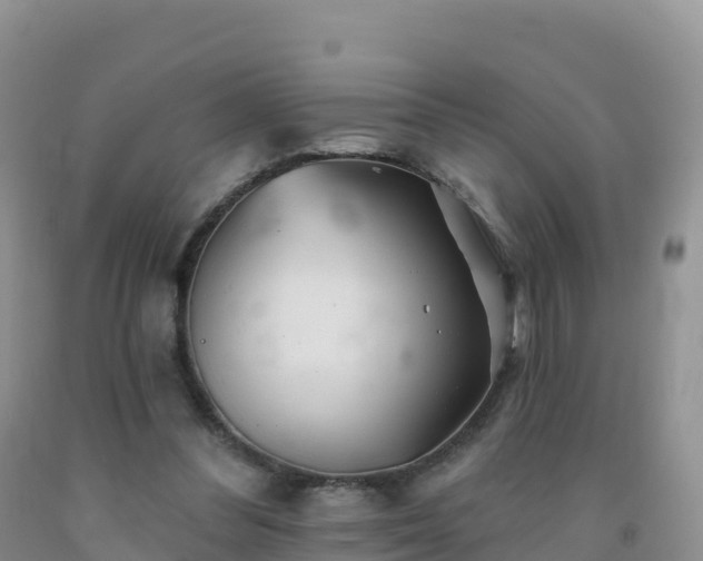 X0000092080300200709191230