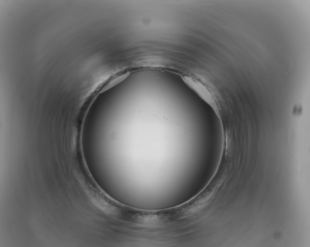X0000092080301200709191230