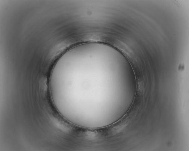 X0000092080302200709191230