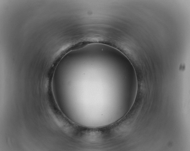 X0000092080304200709191230