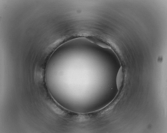 X0000092080305200709191230
