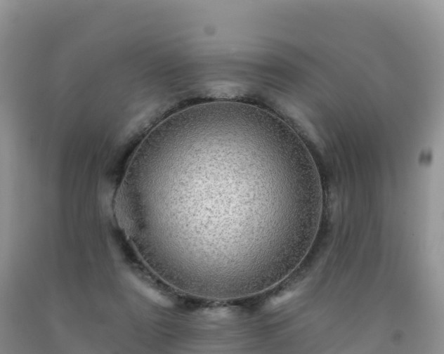 X0000092080307200709191230