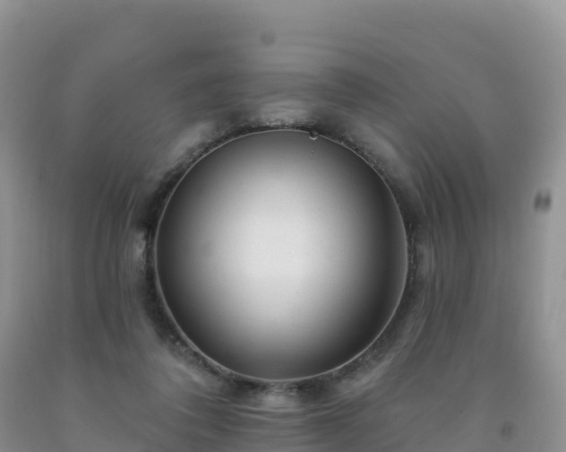 X0000092080308200709191230