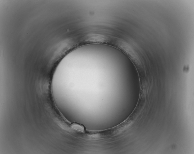 X0000092080309200709191230