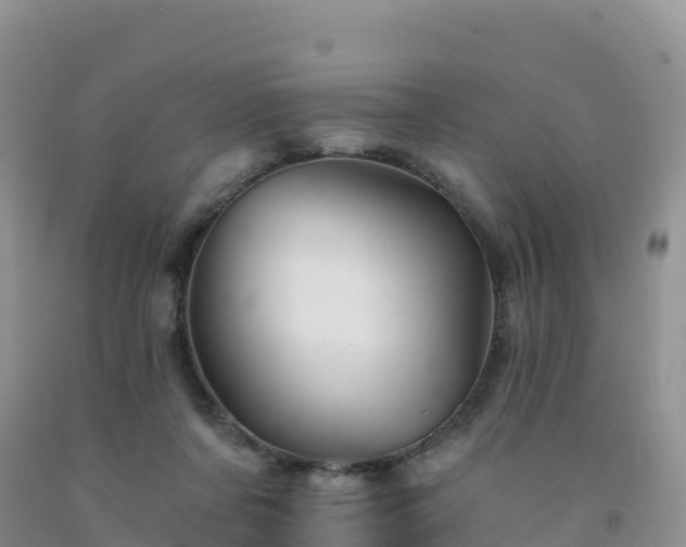 X0000092080311200709191230