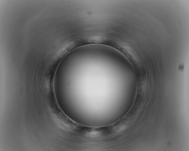 X0000092080312200709191230