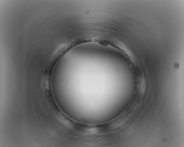 X0000092080313200709191230
