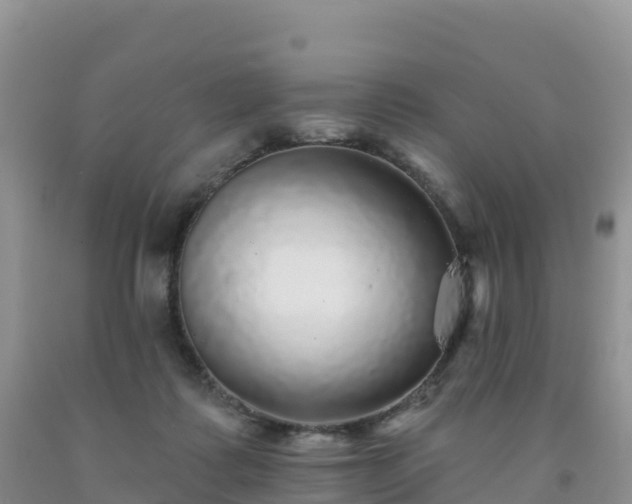 X0000092080315200709191230