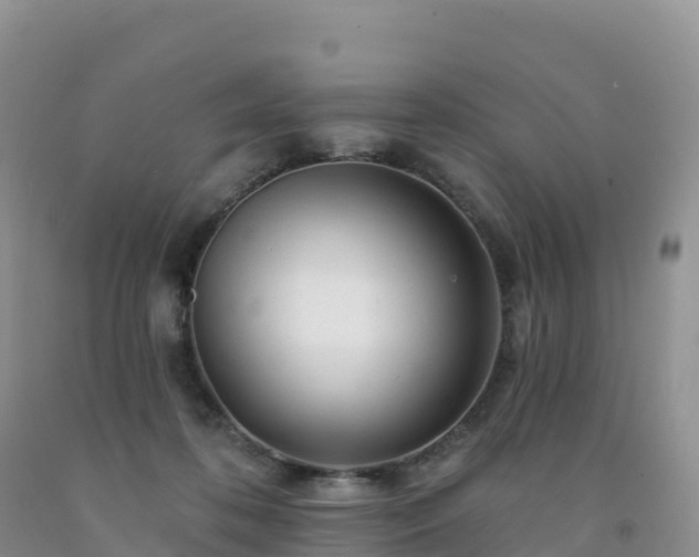 X0000092080316200709191230