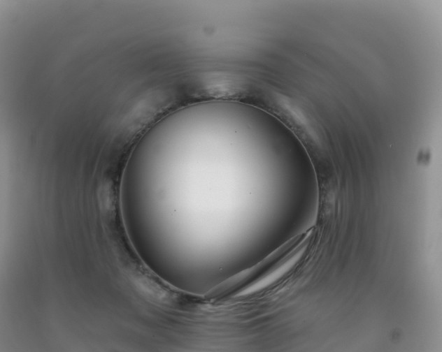 X0000092080317200709191230