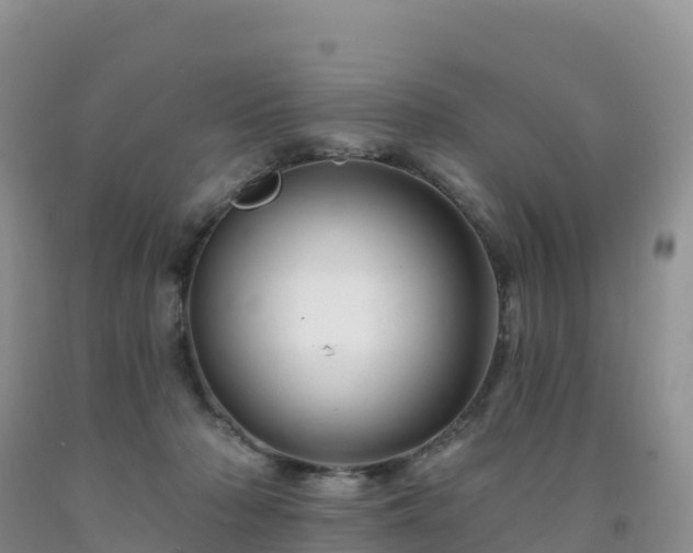 X0000092080318200709191230