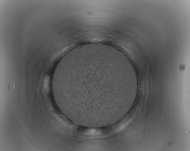 X0000092080319200709191230
