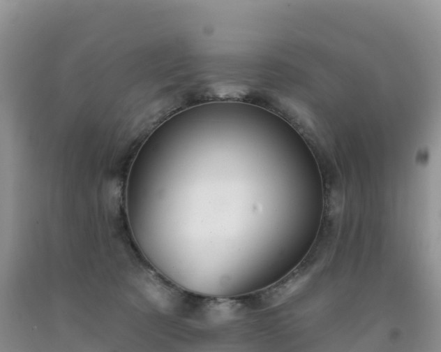 X0000092080321200709191230