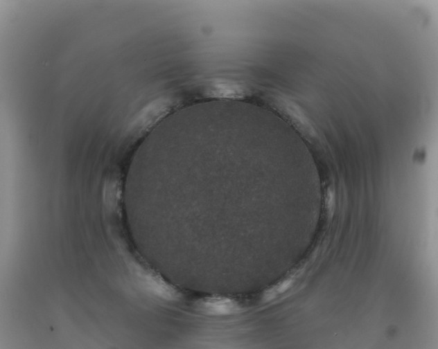 X0000092080322200709191230