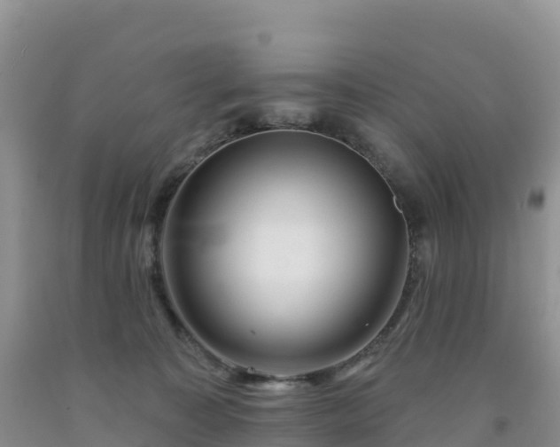 X0000092080323200709191230