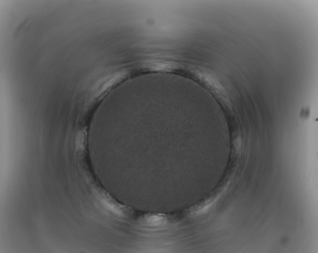 X0000092080325200709191230