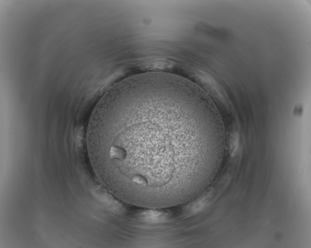 X0000092080326200709191230