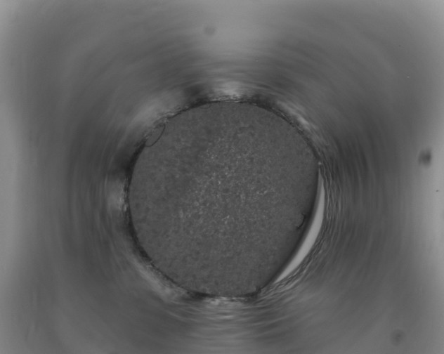 X0000092080331200709191230