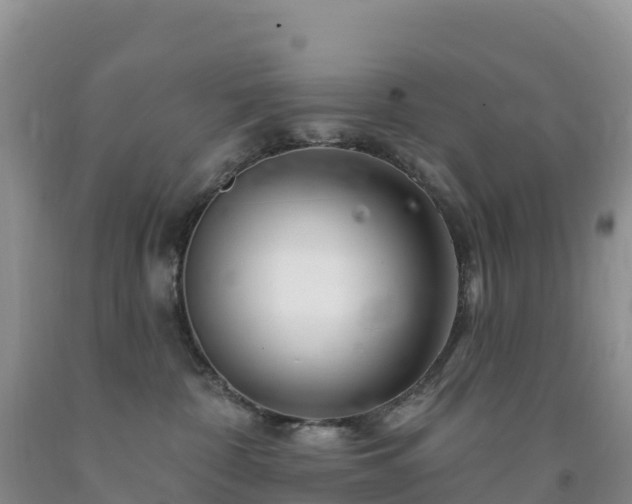 X0000092080332200709191230