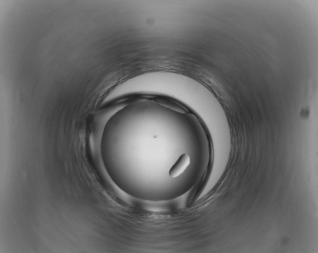 X0000092080333200709191230