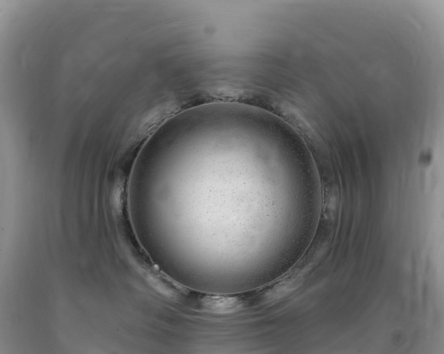 X0000092080334200709191230