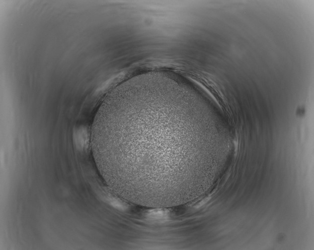 X0000092080335200709191230