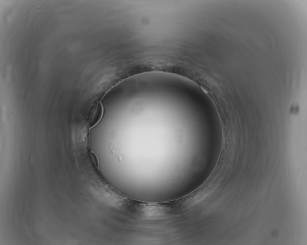 X0000092080336200709191230